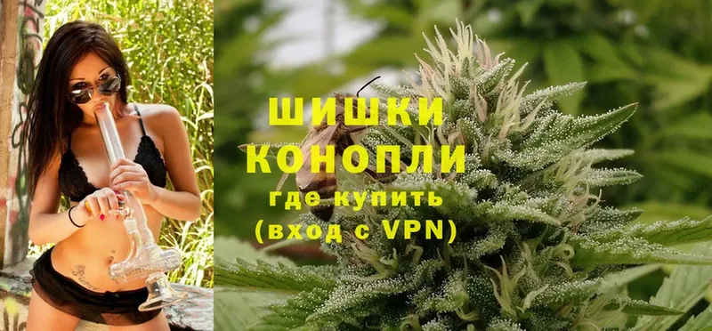 Шишки марихуана THC 21%  наркошоп  Кировград 